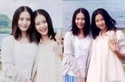 娱乐吃瓜酱替身文学