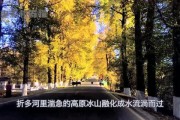 娱乐吃瓜君5,揭秘娱乐圈最新热点，带你领略明星幕后故事